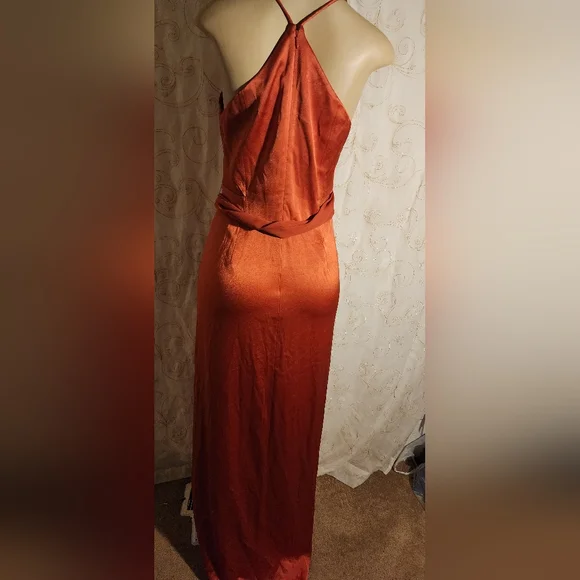 Halston Heritage NWT dress sz 4 & 6 Sz 6 Is Back !   MLR - Picture 5 of 5